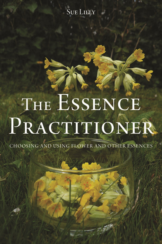 The Essence Practitioner by Sue Lilly, Tony Pinkus