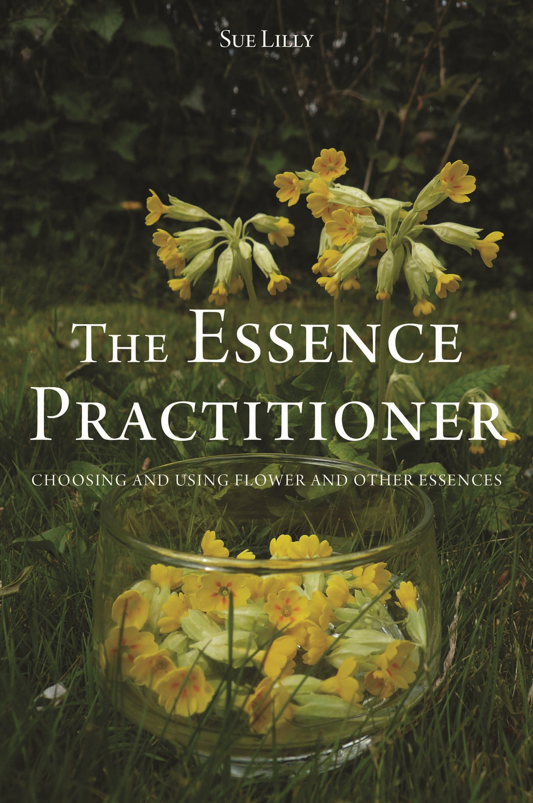 The Essence Practitioner by Sue Lilly, Tony Pinkus