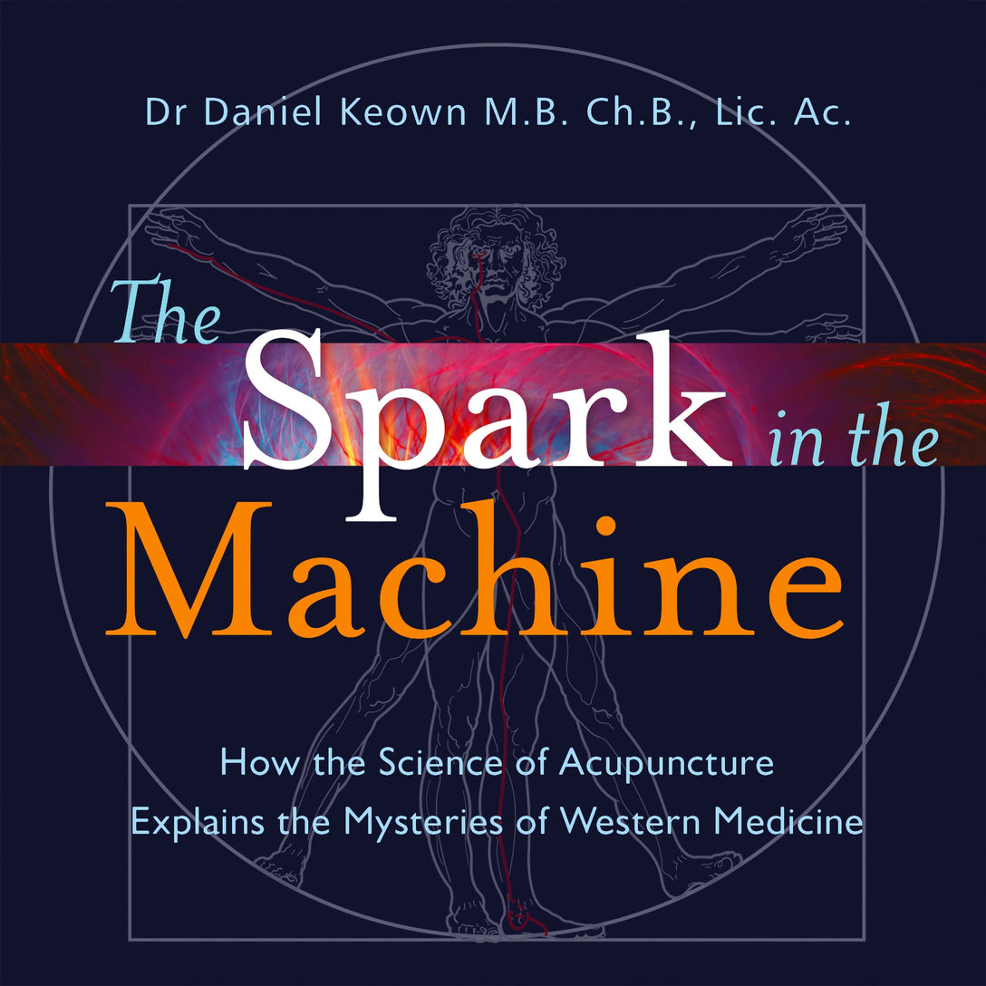 The Spark in the Machine by Daniel Keown