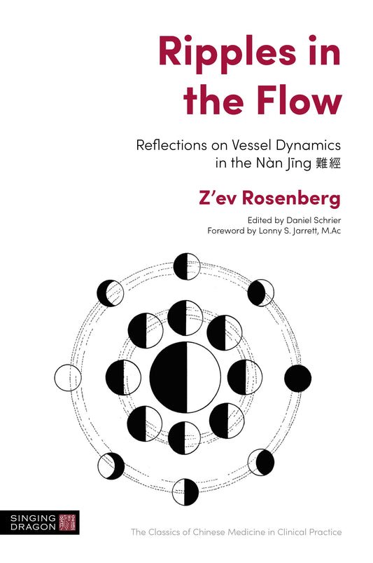 Ripples in the Flow by Daniel Schrier, Lonny S. Jarrett, Z'ev Rosenberg