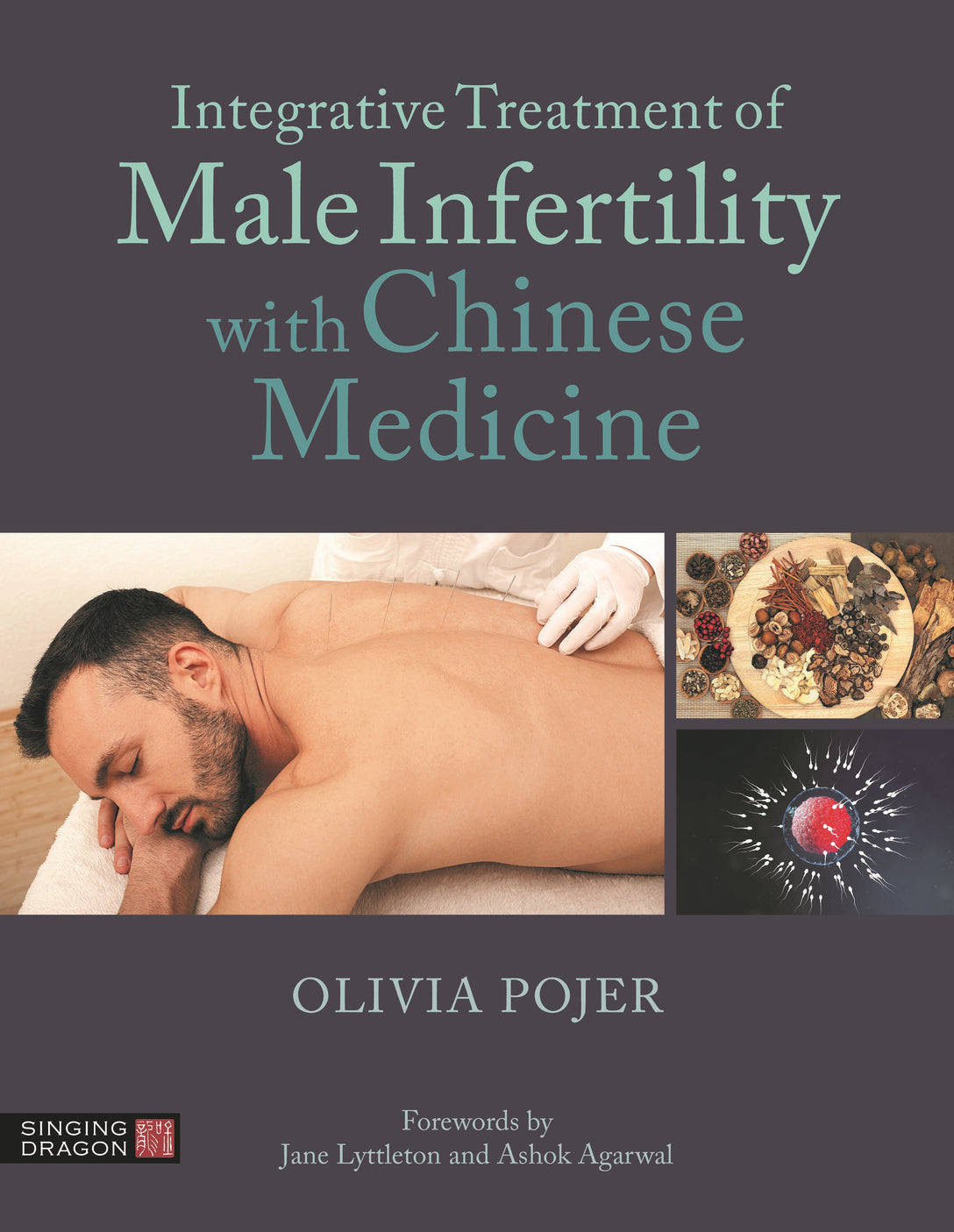 Integrative Treatment of Male Infertility with Chinese Medicine by Olivia Pojer, Ashok Agarwal, Jane Lyttleton
