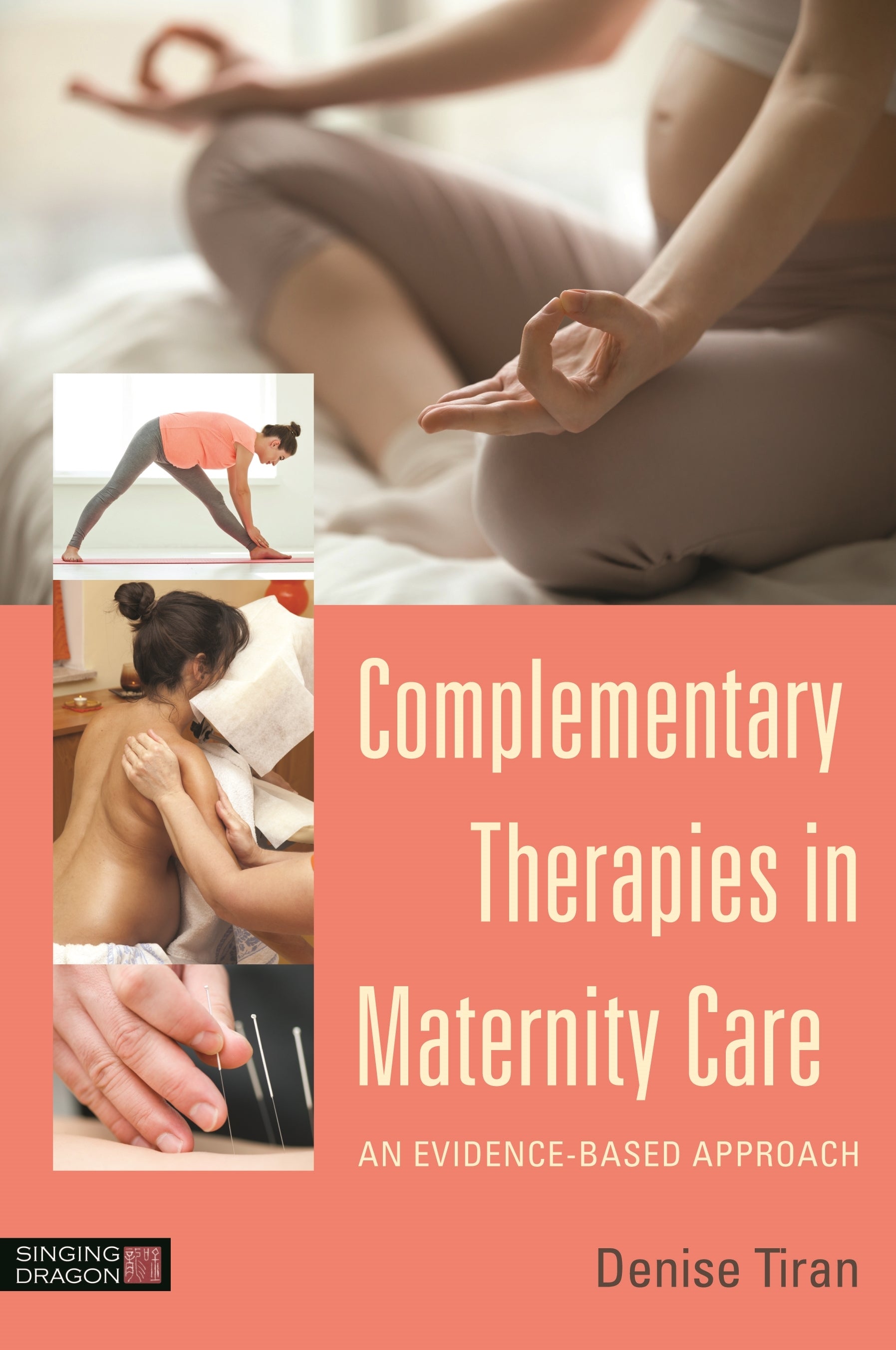 Complementary Therapies in Maternity Care by Denise Tiran