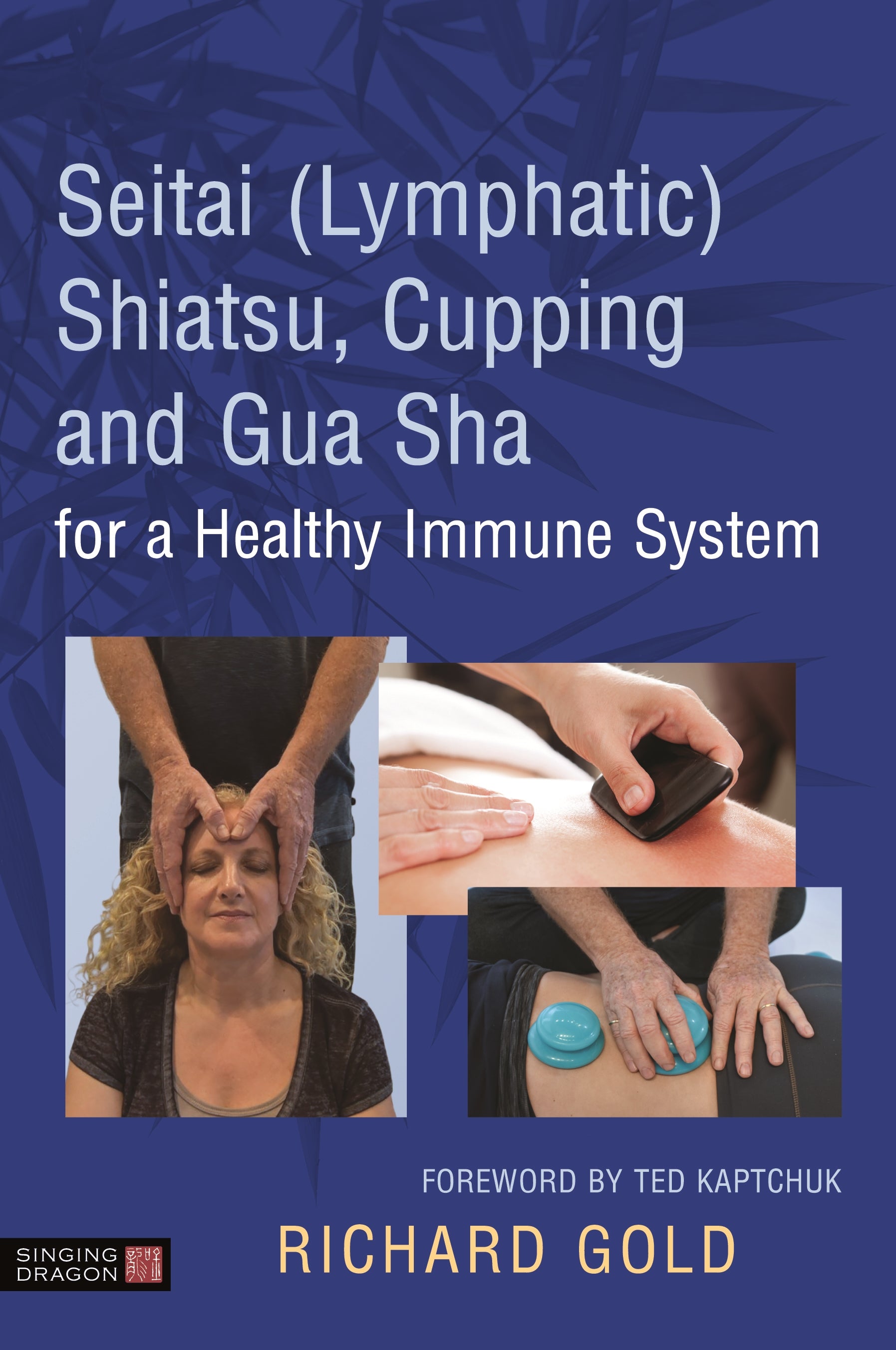 Seitai (Lymphatic) Shiatsu, Cupping and Gua Sha for a Healthy Immune System by Dr. Richard Gold, Ted Kaptchuk, Kenneth Goff