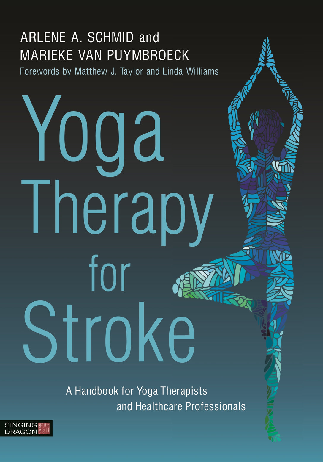 Yoga Therapy for Stroke by Arlene A. Schmid, Marieke van Puymbroeck, Matthew J. Taylor, Linda Williams