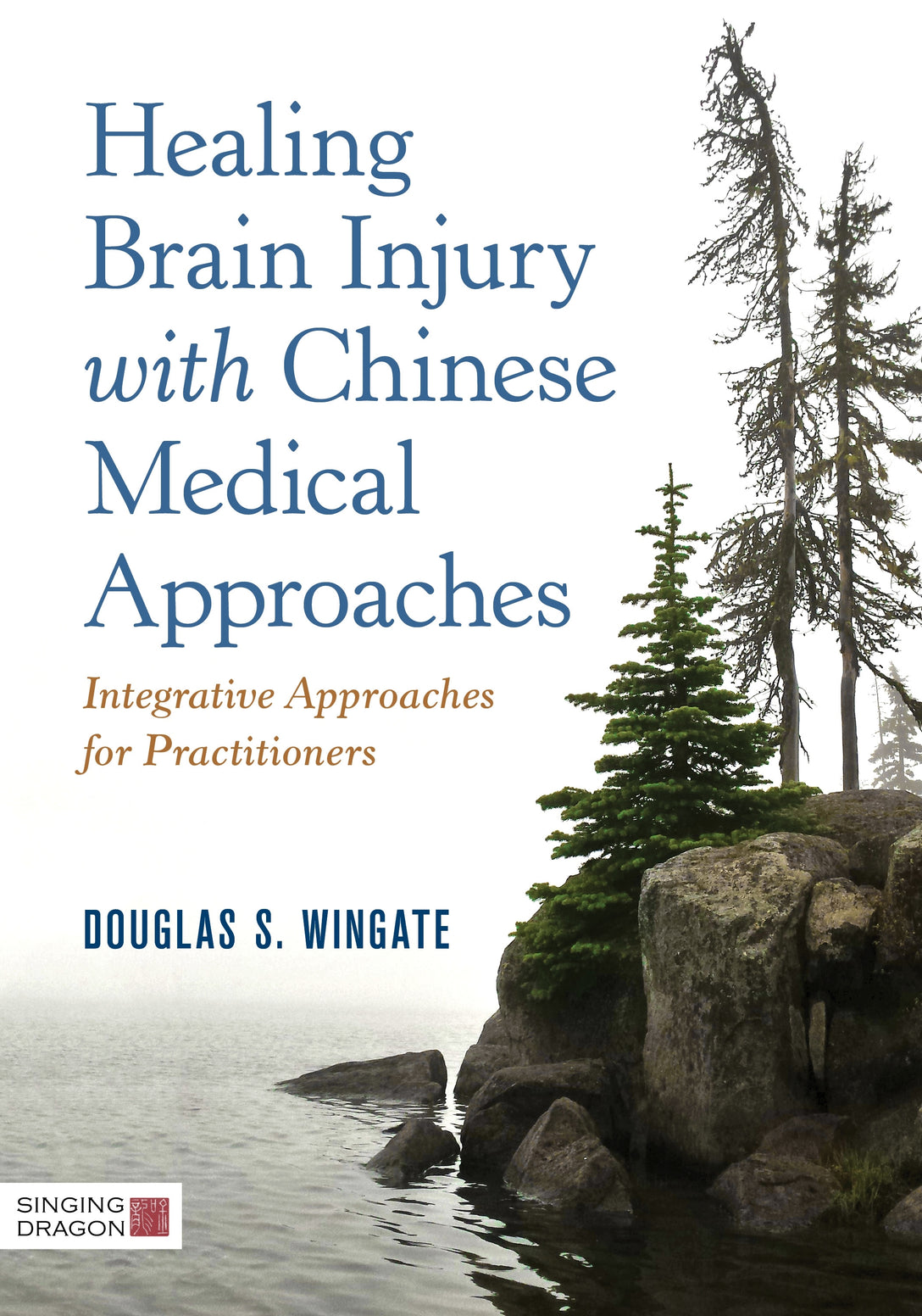 Healing Brain Injury with Chinese Medical Approaches by Douglas S. Wingate