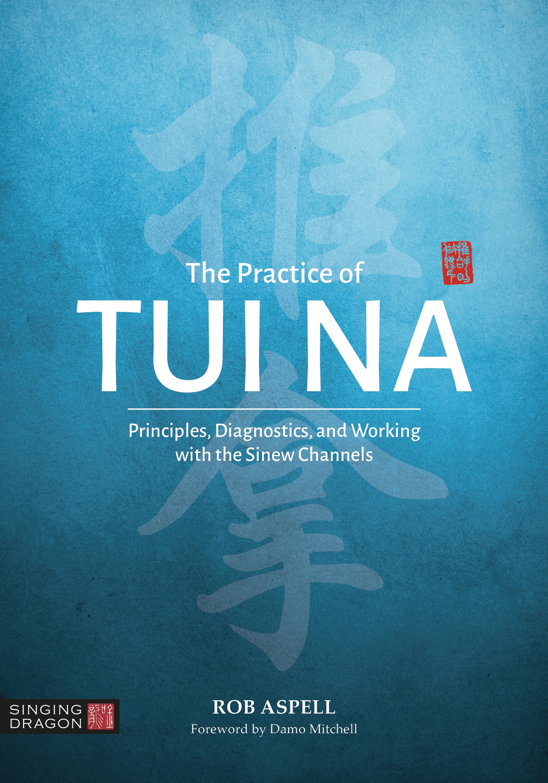 The Practice of Tui Na by Robert Aspell